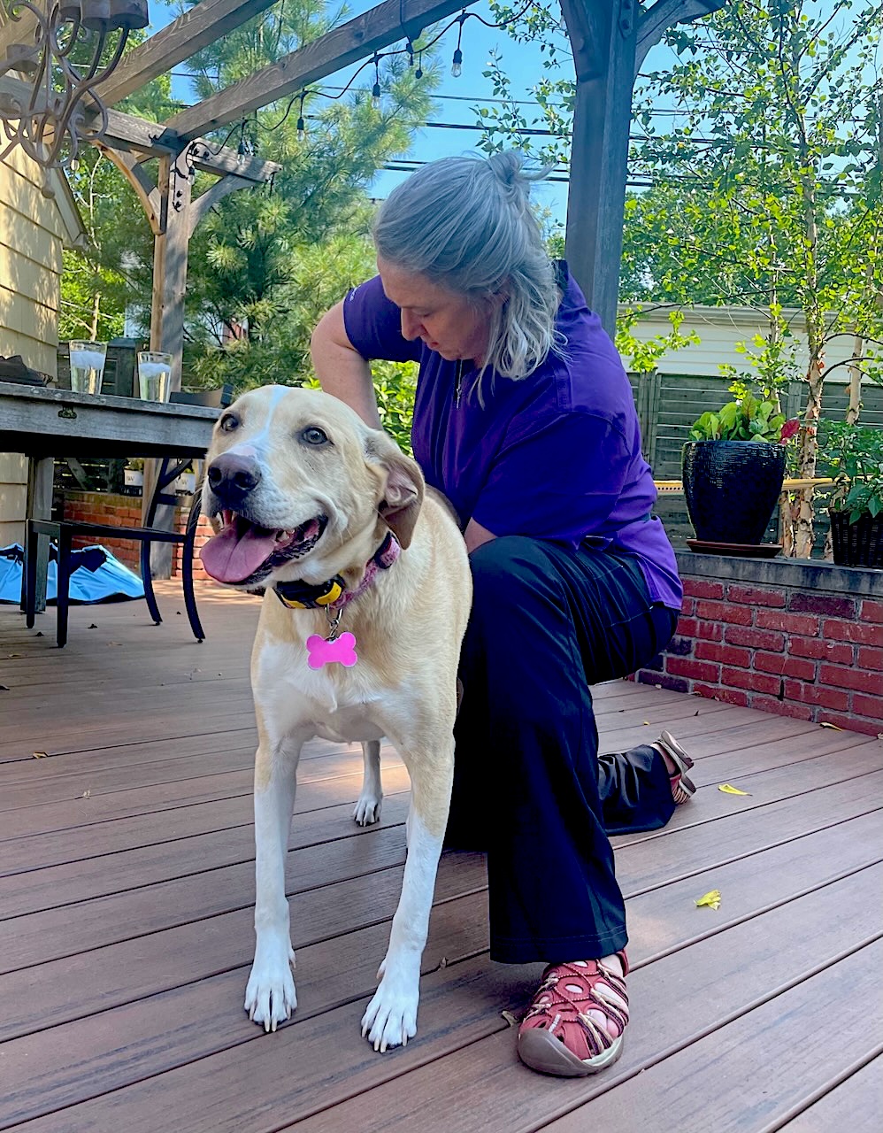 Licensed Animal Chiropractor Dr. Jessica Shelley adjusting a large cream colored dog outdoors on a deck